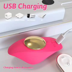 Şarjlı Kablosuz Kumandalı Gizlice Külot İçi Giyilebilir Manyetik Klipsli Klitoris Uyarıcı Vibratör